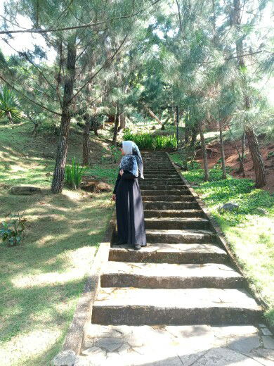 Lusi Marya profile icon