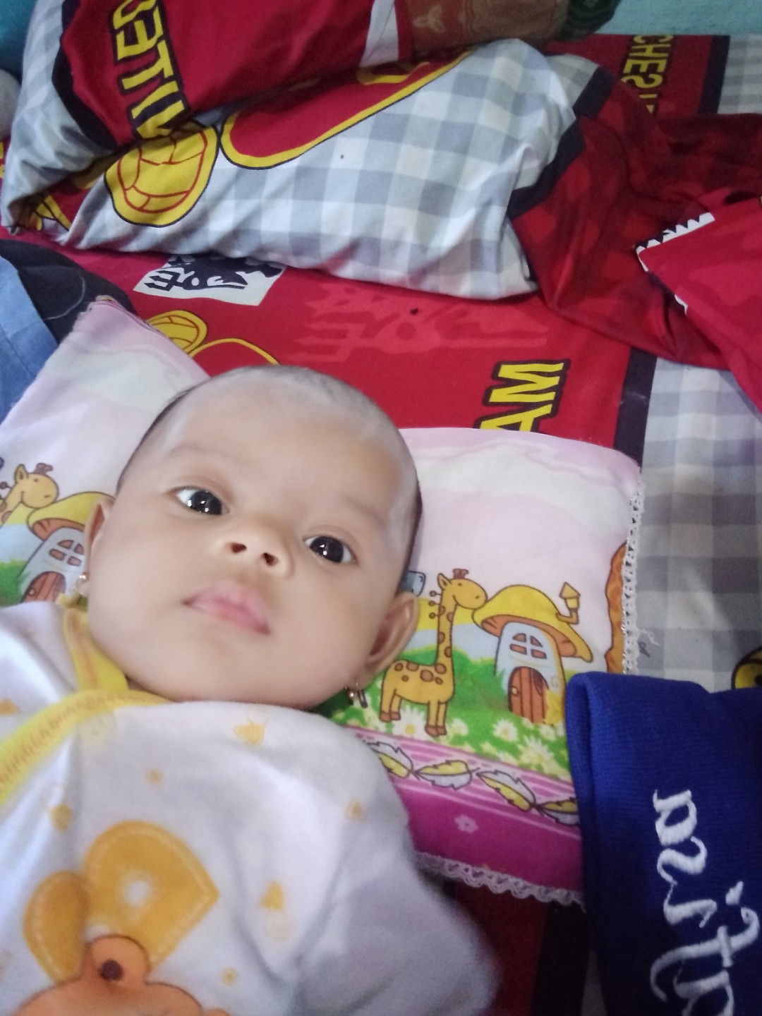 Nofa Fajar Hapsari profile icon