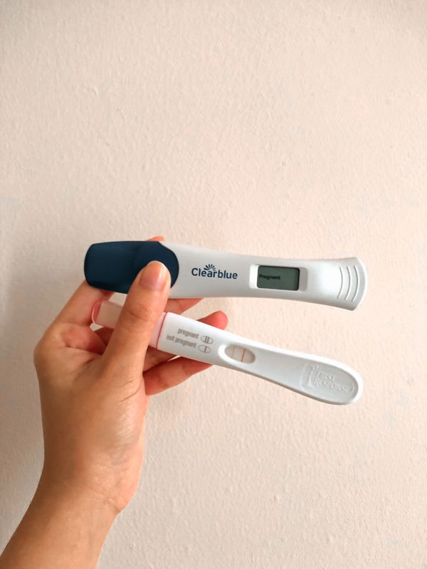 Tinkerbell 2211 profile icon