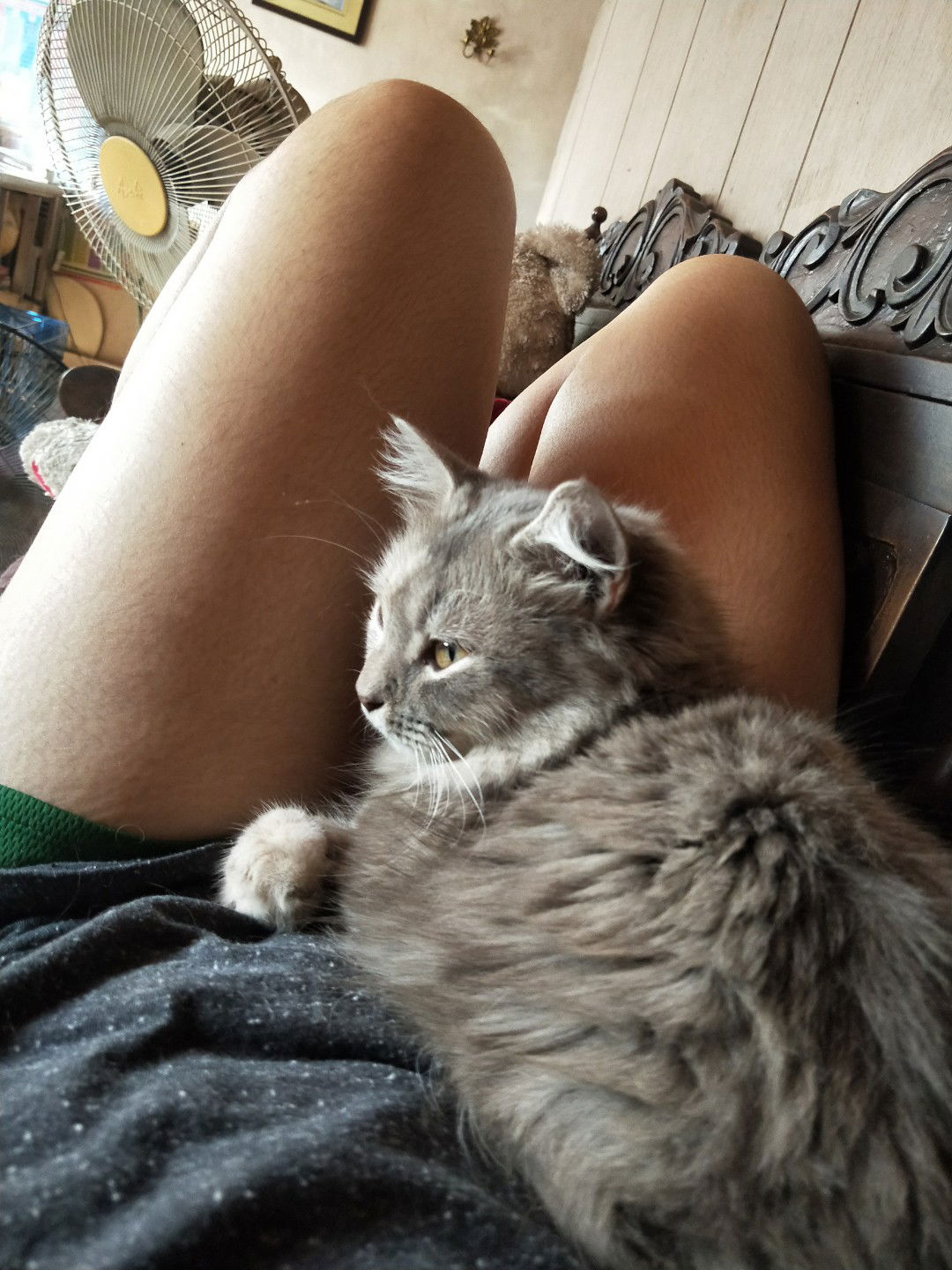 Dyang Año profile icon