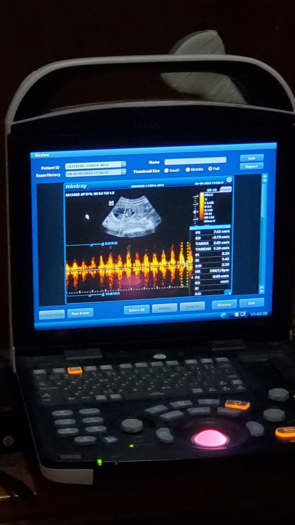 Tsamrotul lailah profile icon