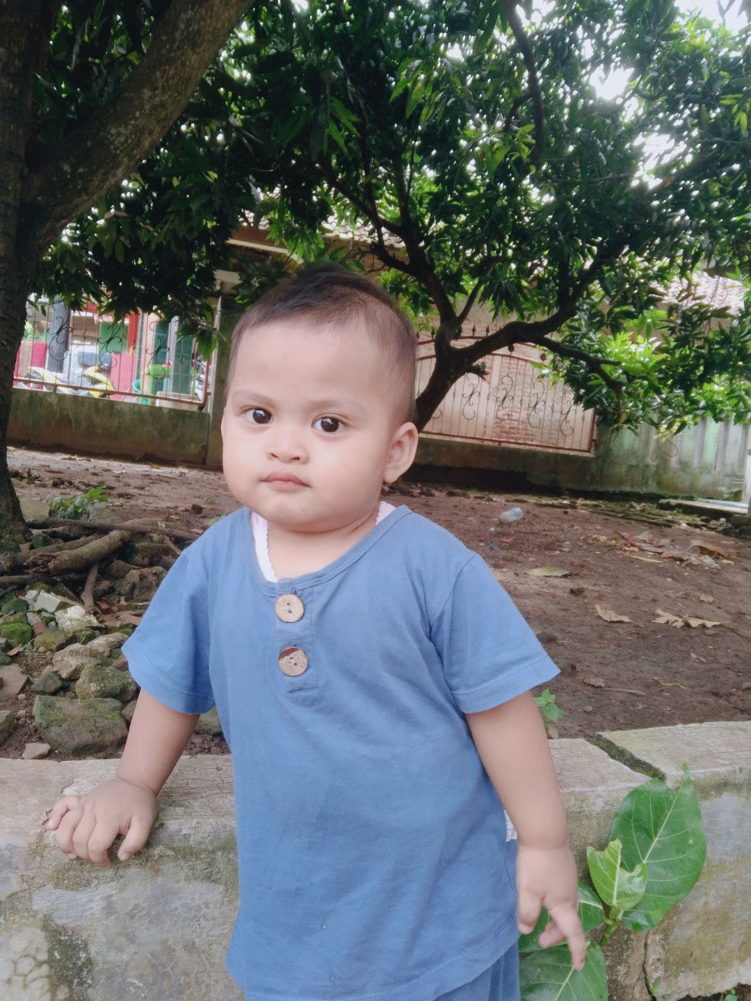 Meyning Syah profile icon