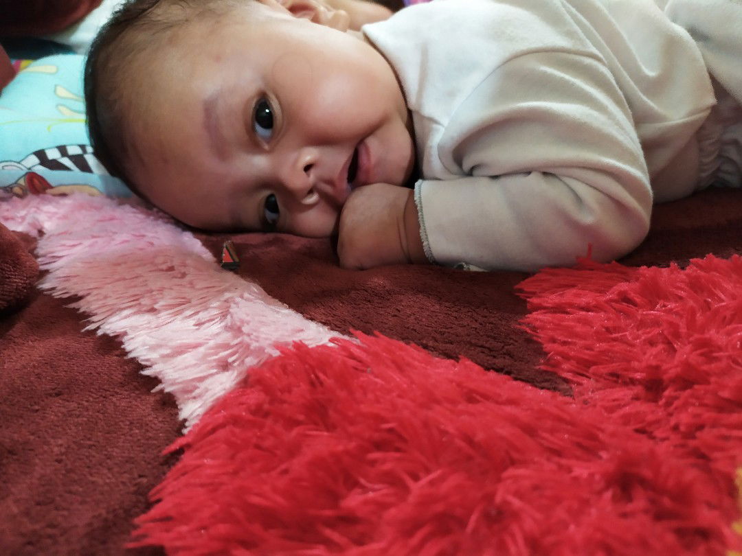 Bayi belum bisa tengkurap