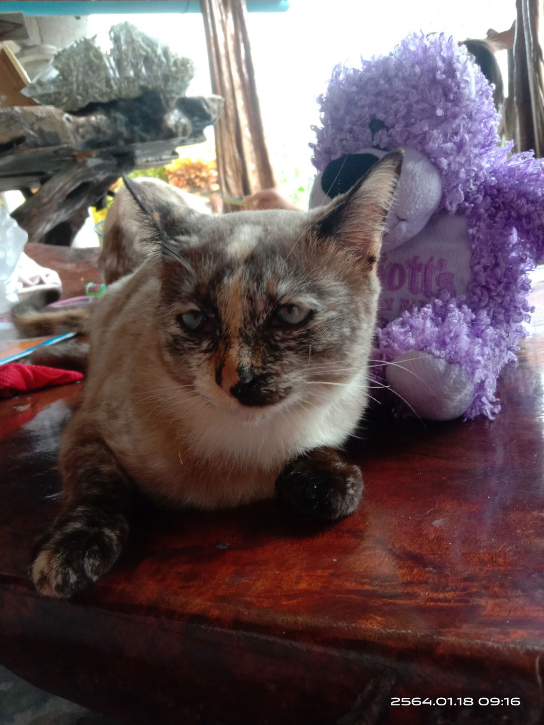 Yanisa nam profile icon