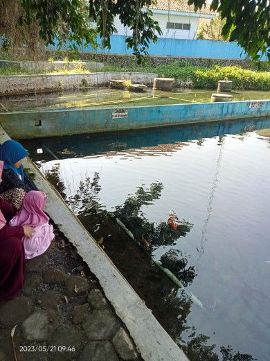 Ummu Fatimah profile icon