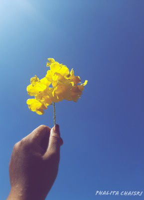 หมู'ทะ profile icon