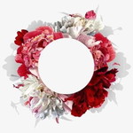 Miss profile icon
