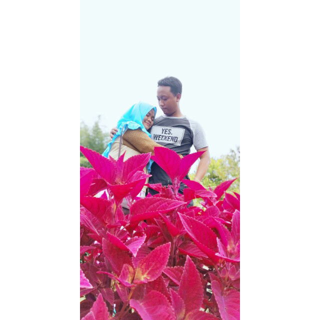 Devi Lupitasari profile icon