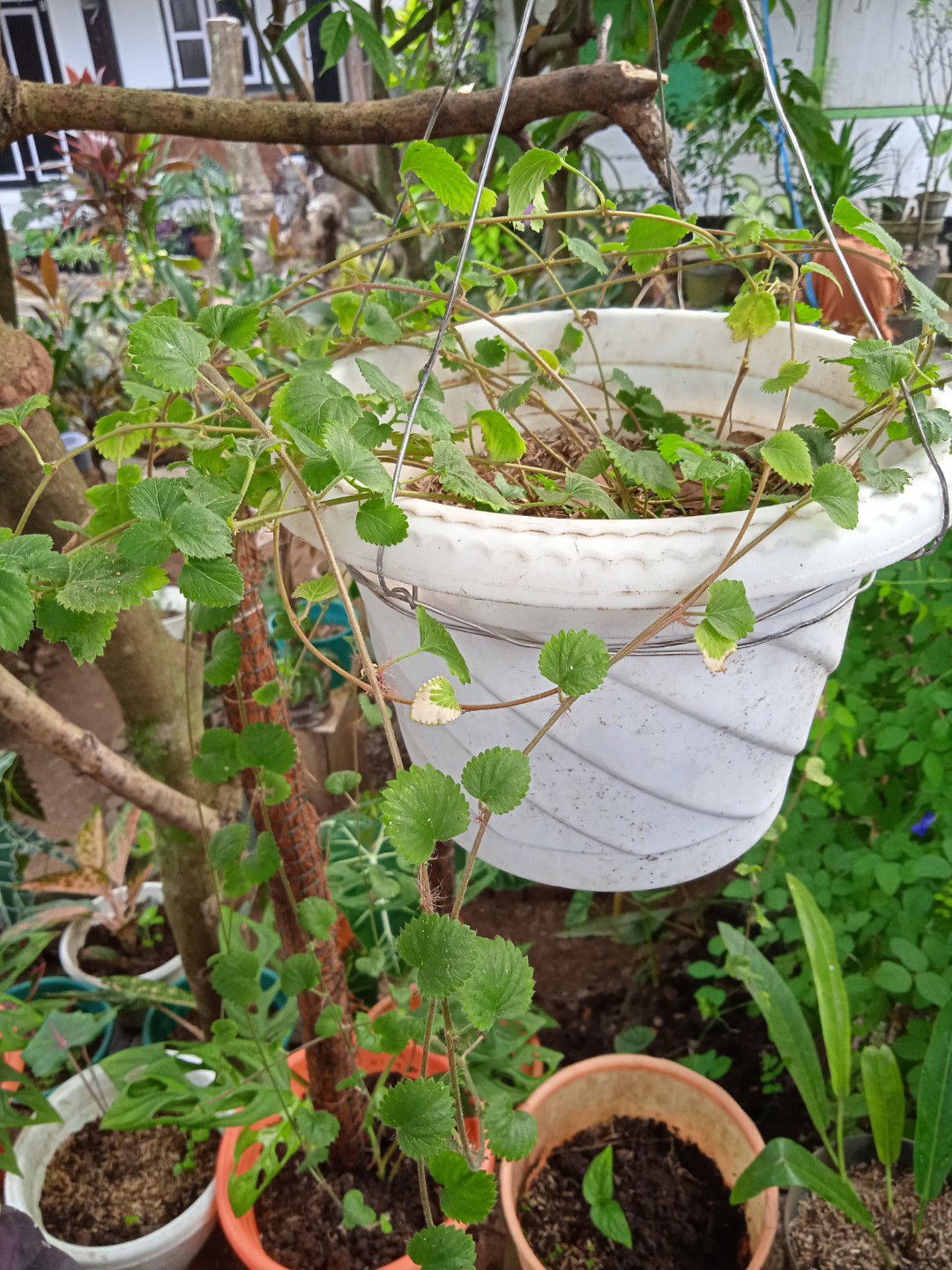 eka fitri profile icon