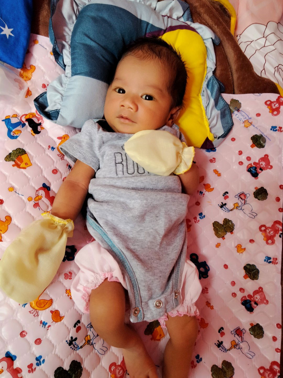 Kanyapat kimsanit profile icon