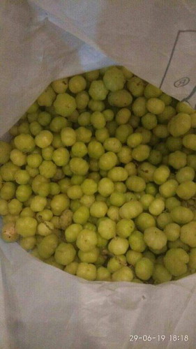 buah cerme