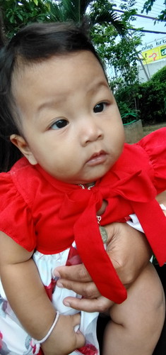 6เดือน