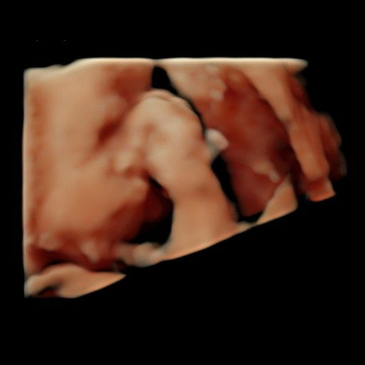 Sela Fatimah Azahra profile icon