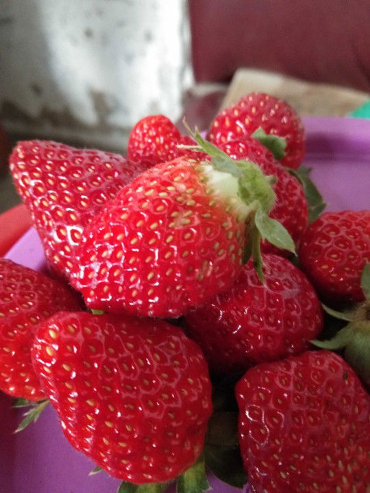 nur daliyah profile icon