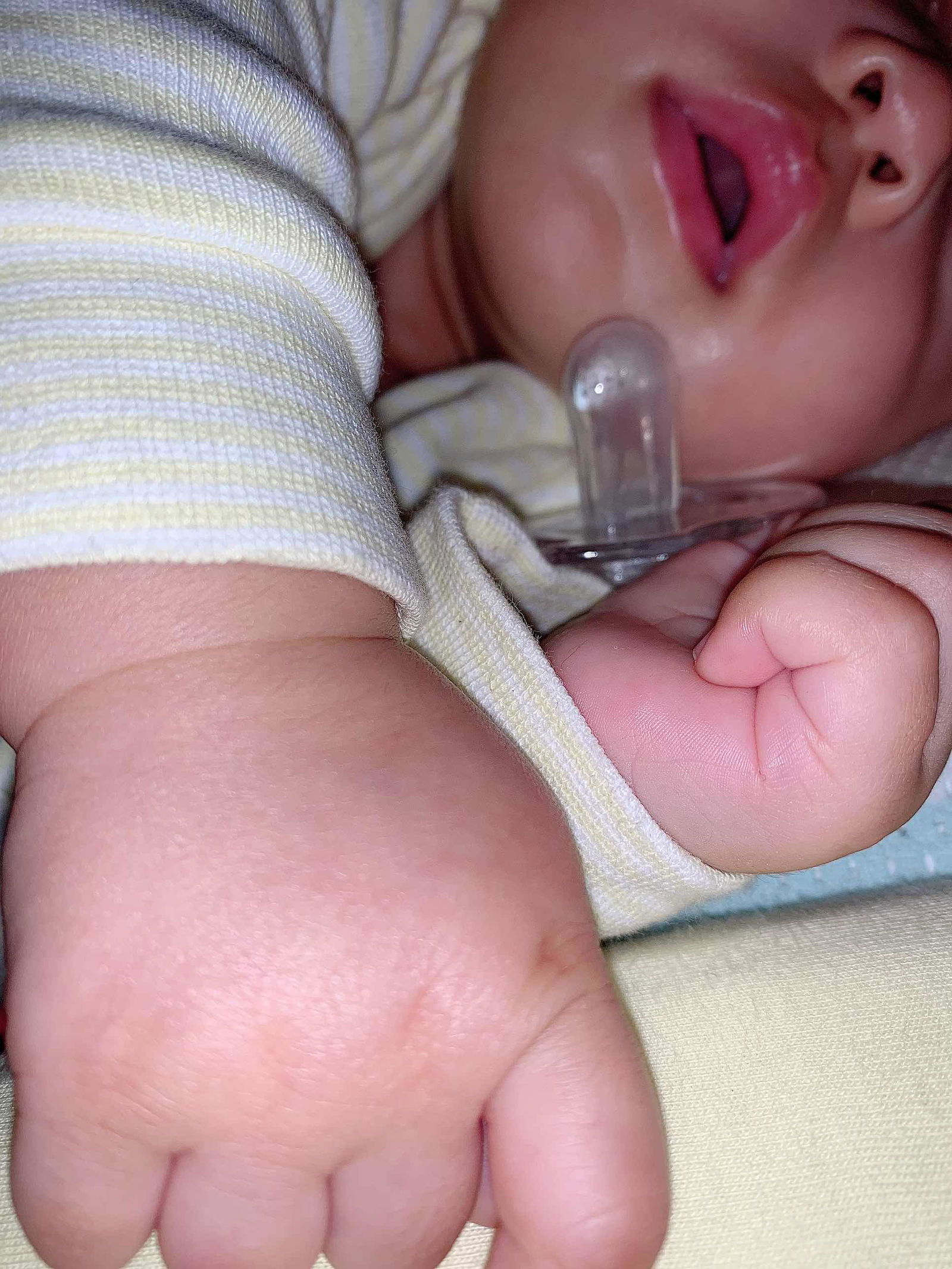 Jessica Jorniati Nender profile icon