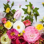 mamanya karina profile icon