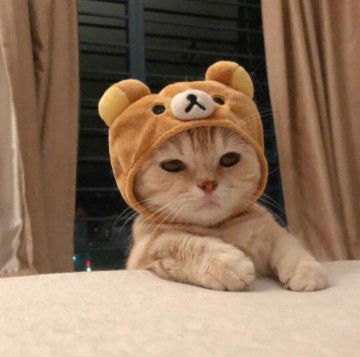 Mustika Fadilla profile icon