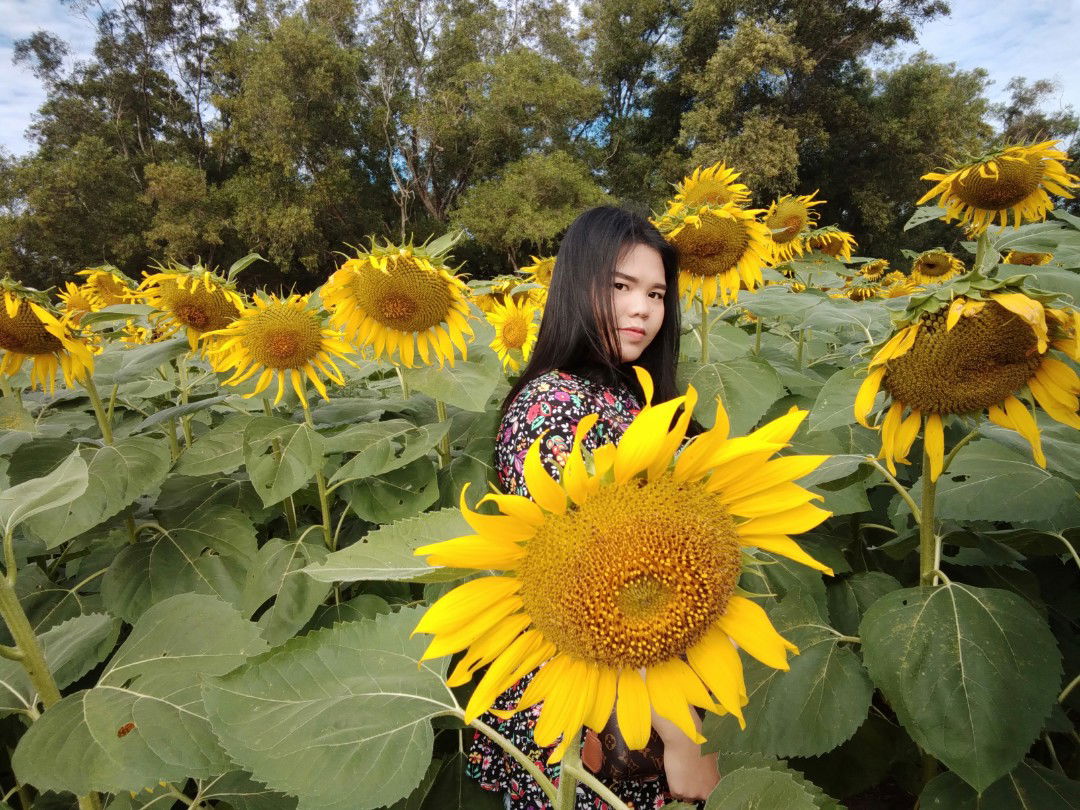 Kat Saowaluk profile icon