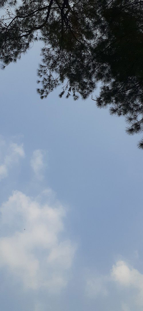 gina wandira profile icon