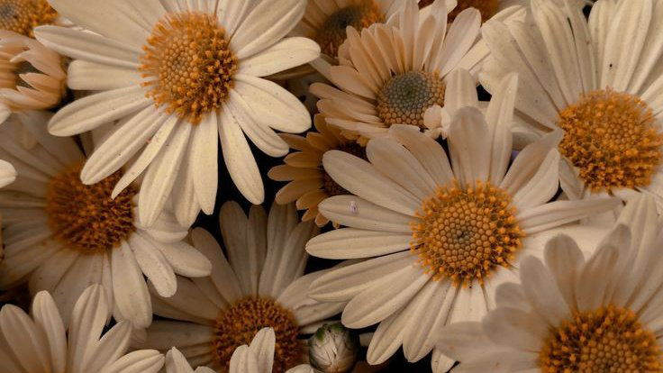 วันเวลา profile icon