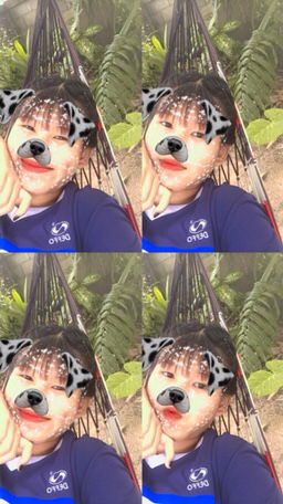 ปาย' ลาว'วว profile icon