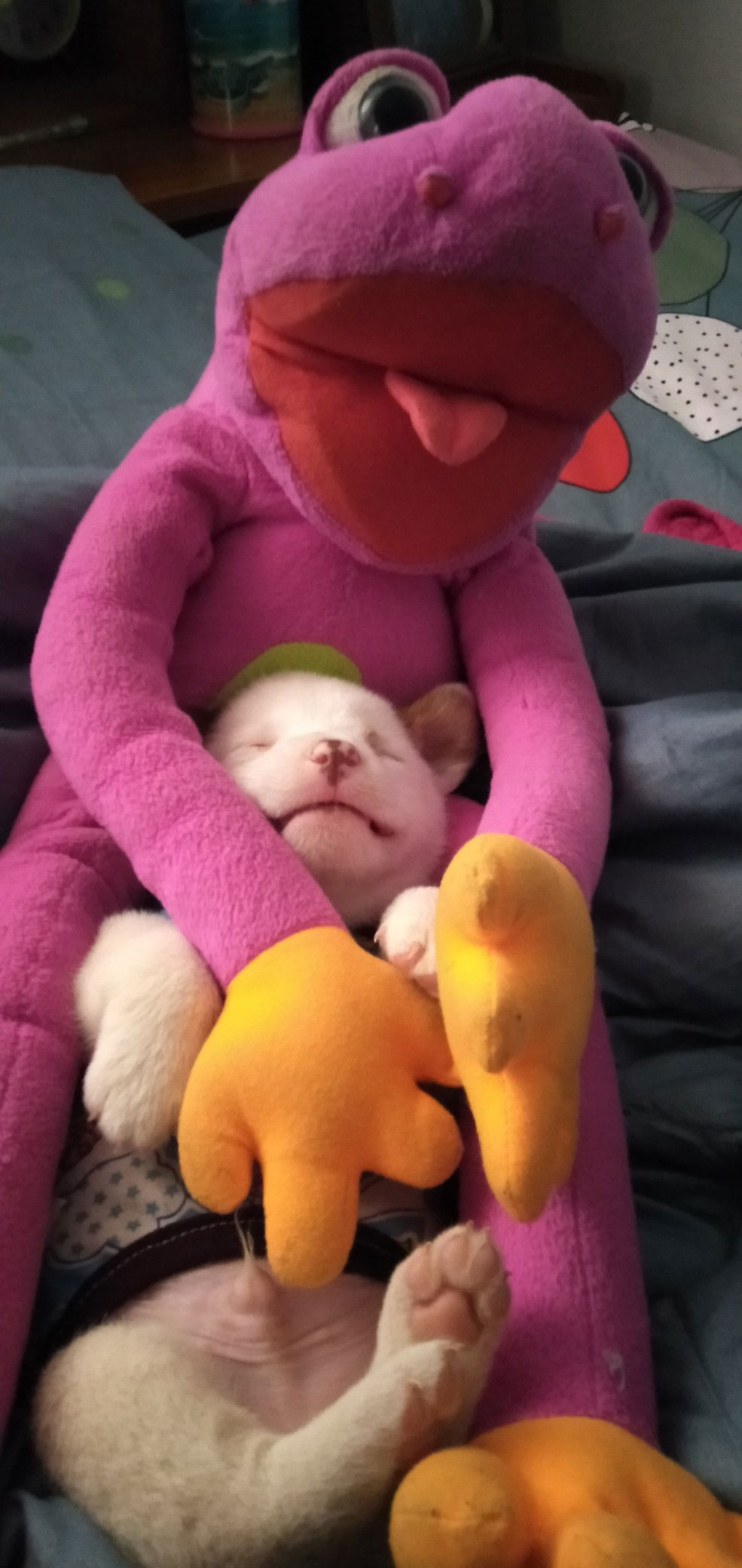 รัตนาภรณ์ profile icon