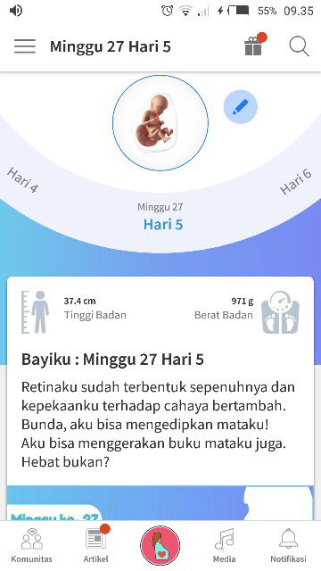 berat badan janin