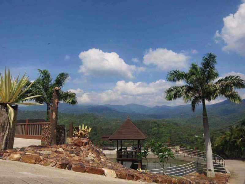 Aimi Ilyani profile icon