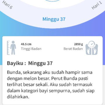 merubah hitungan minggu kehamilan