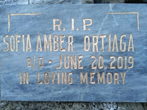 6'th Months of Death