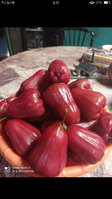 juni fatmala profile icon