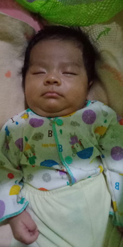 botakin atau gak