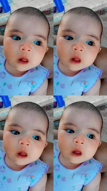 Panwad'd profile icon