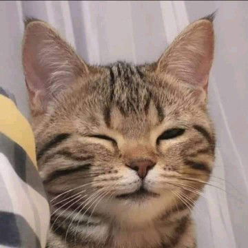 Sofya Khairunisaa profile icon