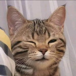 Sofya Khairunisaa profile icon