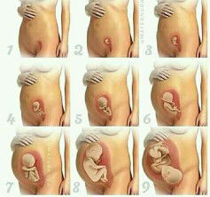 RisnaSeran profile icon