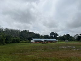 Izyan Hazwani Zabidi profile icon