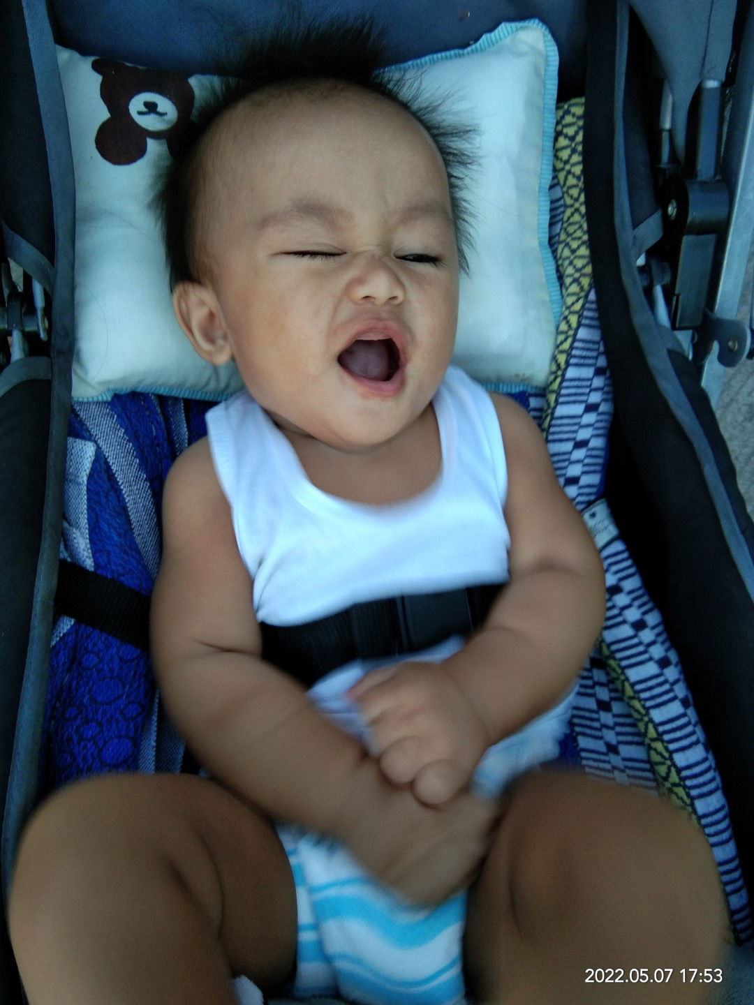 Rachelle Pacheco profile icon