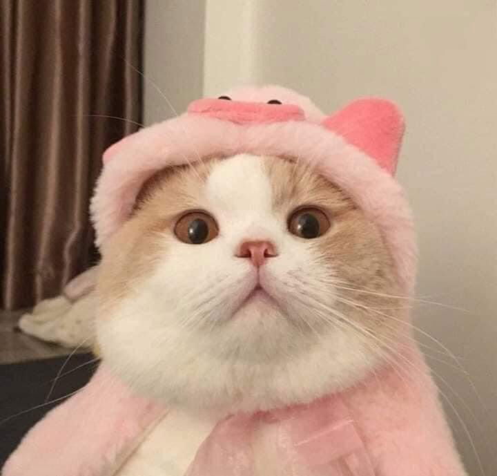 วิไลย์พร profile icon