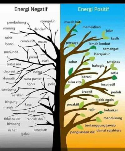 liapaulina profile icon