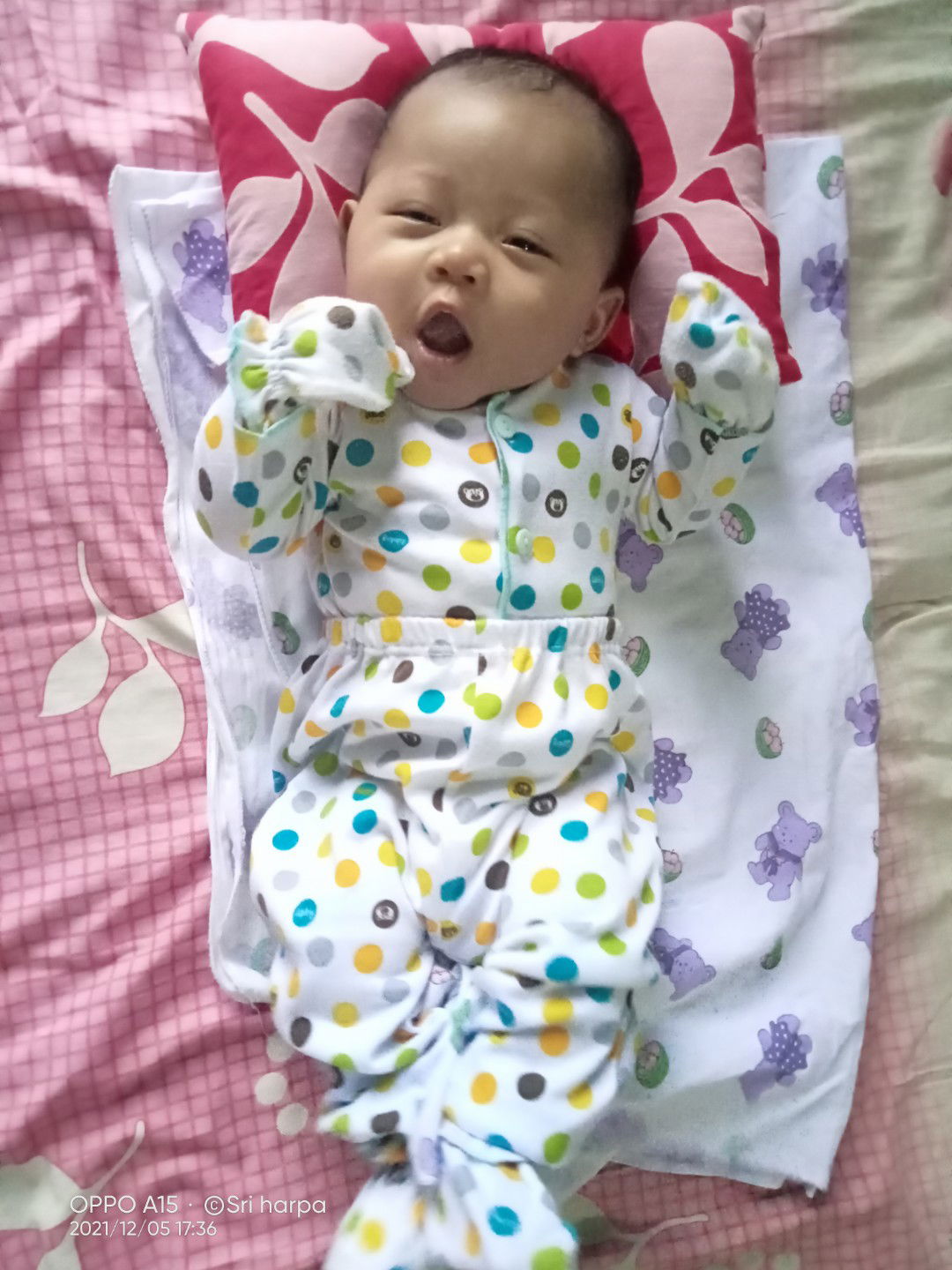 Sri Harpayanti profile icon