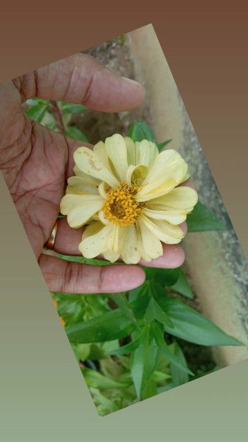 Saulamwati profile icon