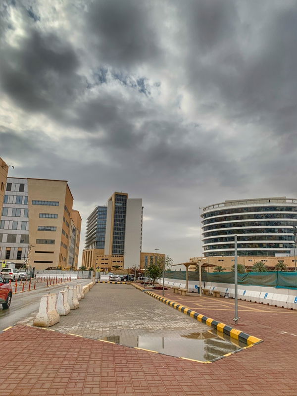 DanitaMaldita profile icon