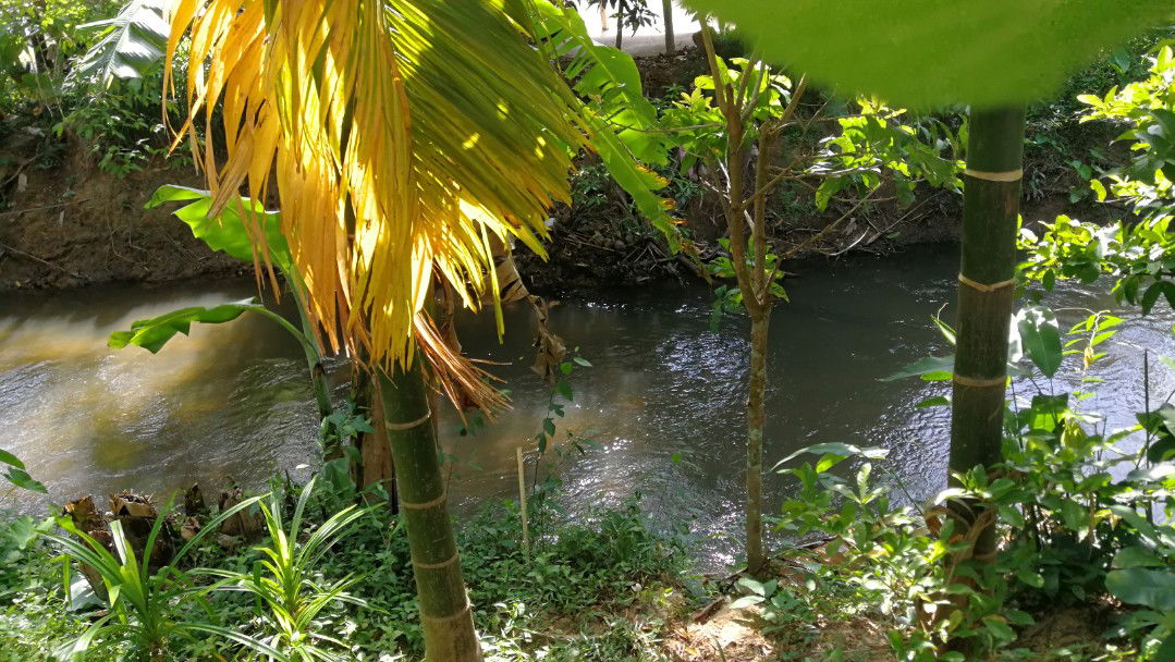 numlock profile icon