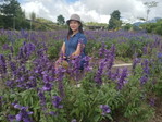 Abegail Tabladillo profile icon