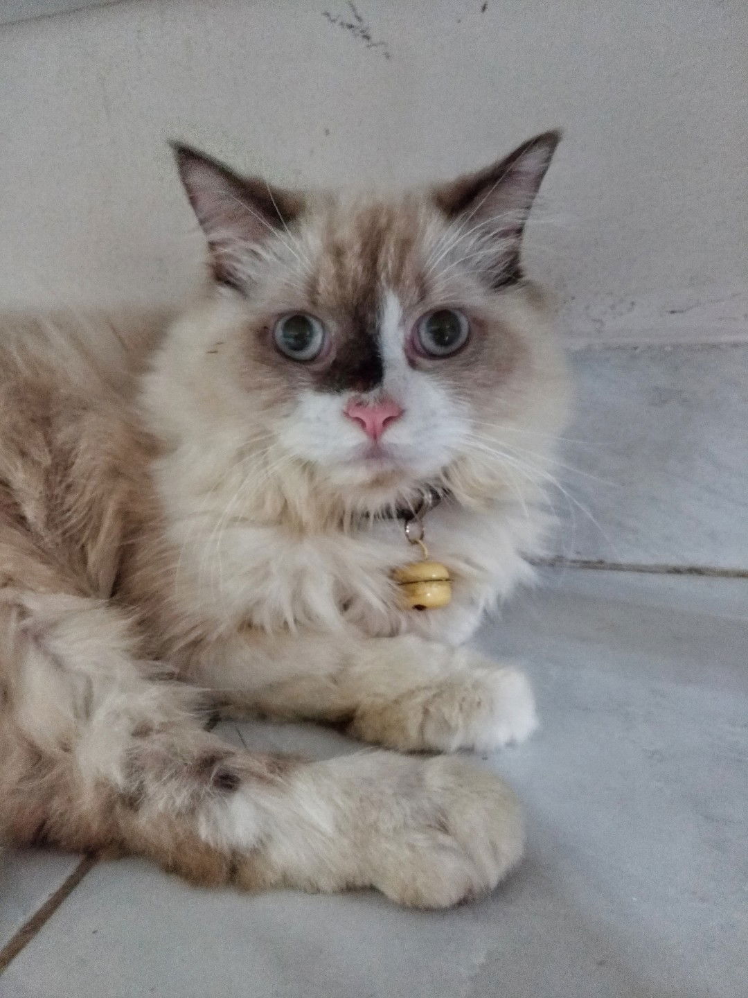 Wina Yustisia profile icon