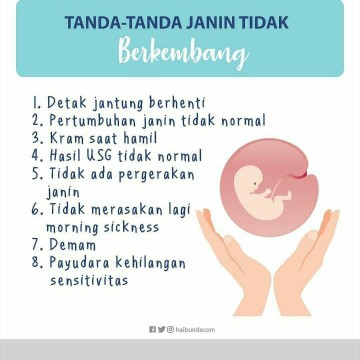 kehamilan 20minggu