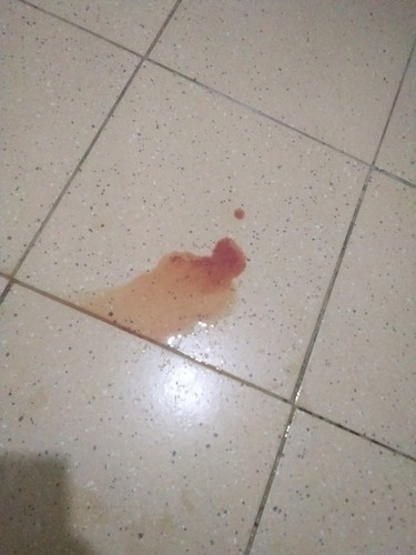 bleed