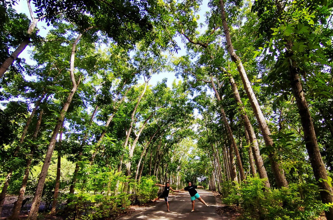 Jivina Paculaba profile icon