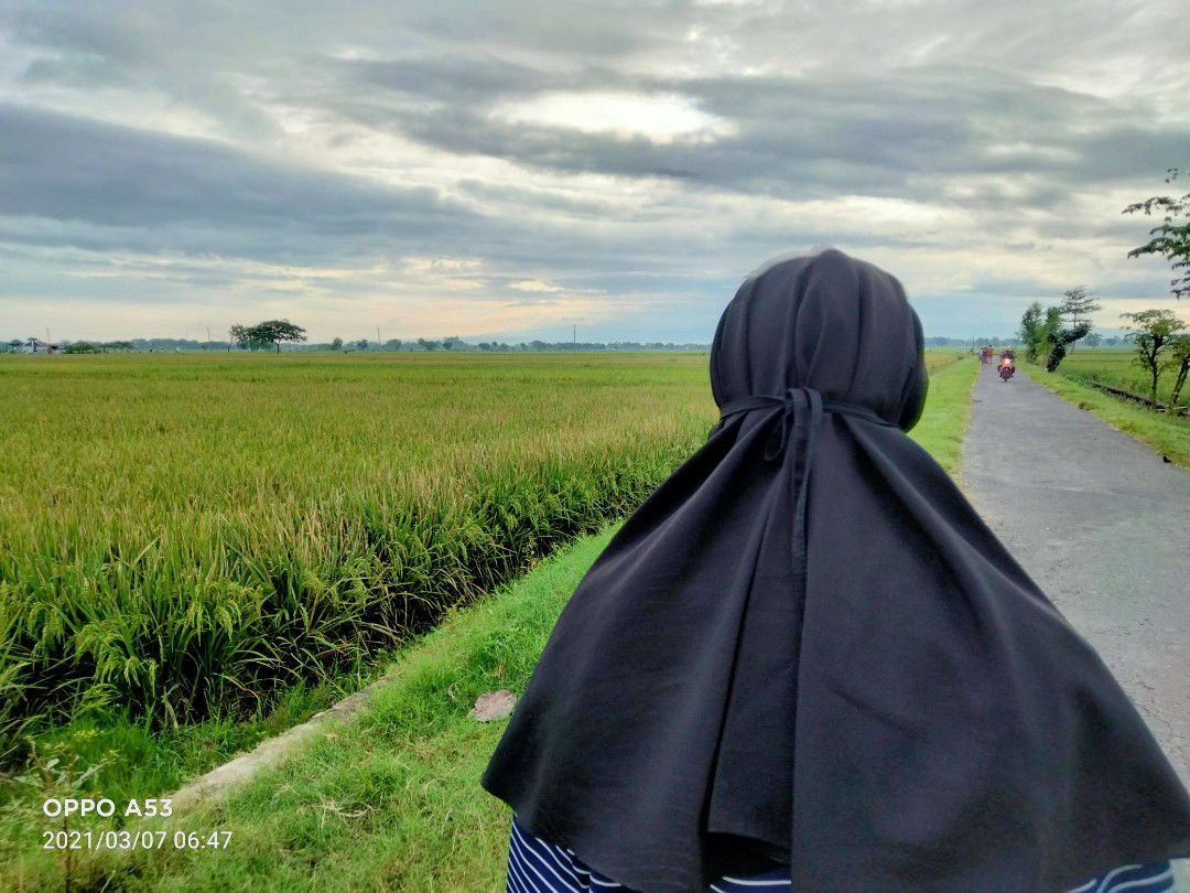 Haifa Nisa profile icon